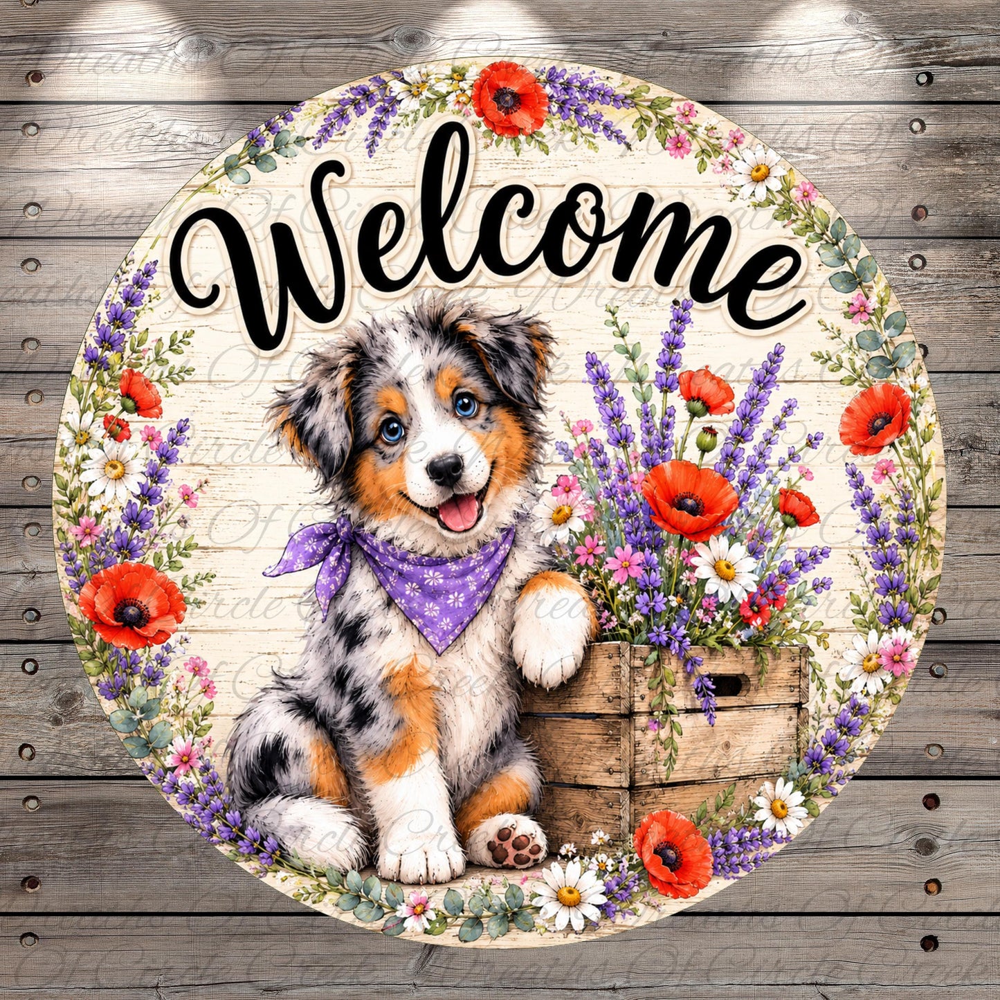 A cheerful Australian Shepherd dog wearing a purple bandana, sitting in a wooden crate filled with colorful flowers, with the word "Welcome" written above it.