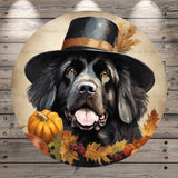 Fall Labrador Dog, Top Hat, Autumn, Thanksgiving, Light Weight, Metal Sign, No Holes In Sign