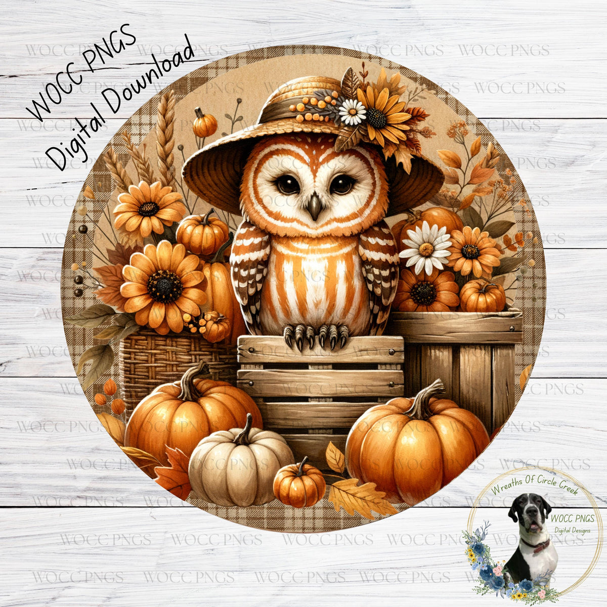 A digital illustration of an owl wearing a straw hat and surrounded by pumpkins, flowers, and a wooden crate, all set against a rustic background.