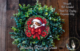 A wreath with a sleeping dog wearing a Santa hat, surrounded by green leaves and red flowers.