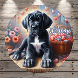 Welcome, Great Dane Puppy, Black and White Puppy, Floating Hearts, Valentines Florals, Whimsical, Round, Light Weight, Metal Wreath Sign, No Holes, UV Coated