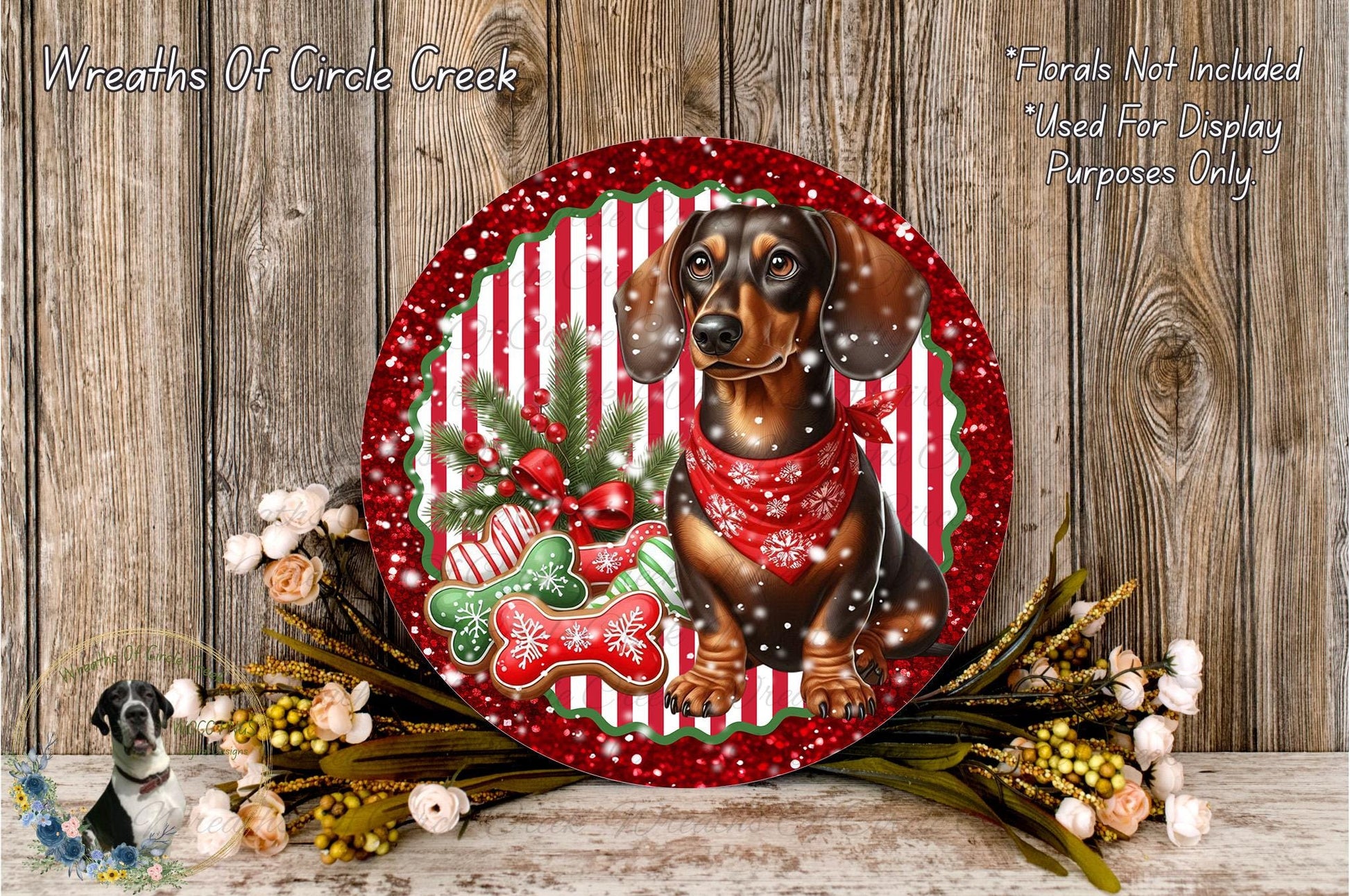 A decorative plate featuring a dachshund dog wearing a red scarf, surrounded by Christmas-themed elements such as a red and white striped border, pine branches, and a red ribbon.