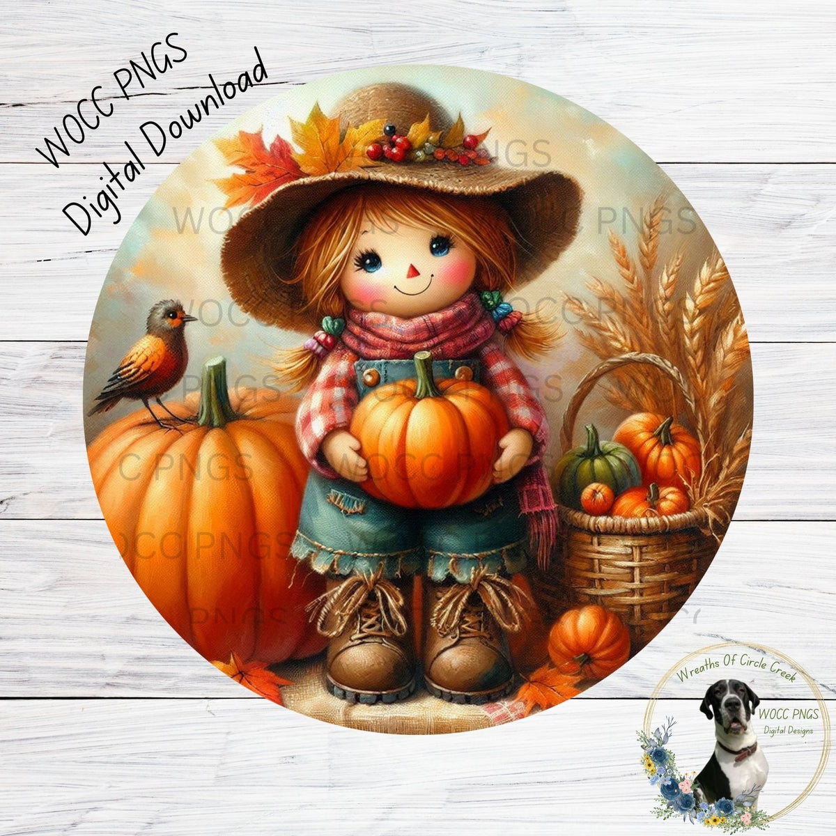 Farm Girl, Scarecrow, Holding Pumpkin, Give Thanks, Round, 2 - PNGs, Sublimation, Printable, DIGITAL DOWNLOAD