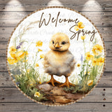 A cheerful yellow chick surrounded by a field of yellow flowers, with the text "Welcome Spring" written above it.