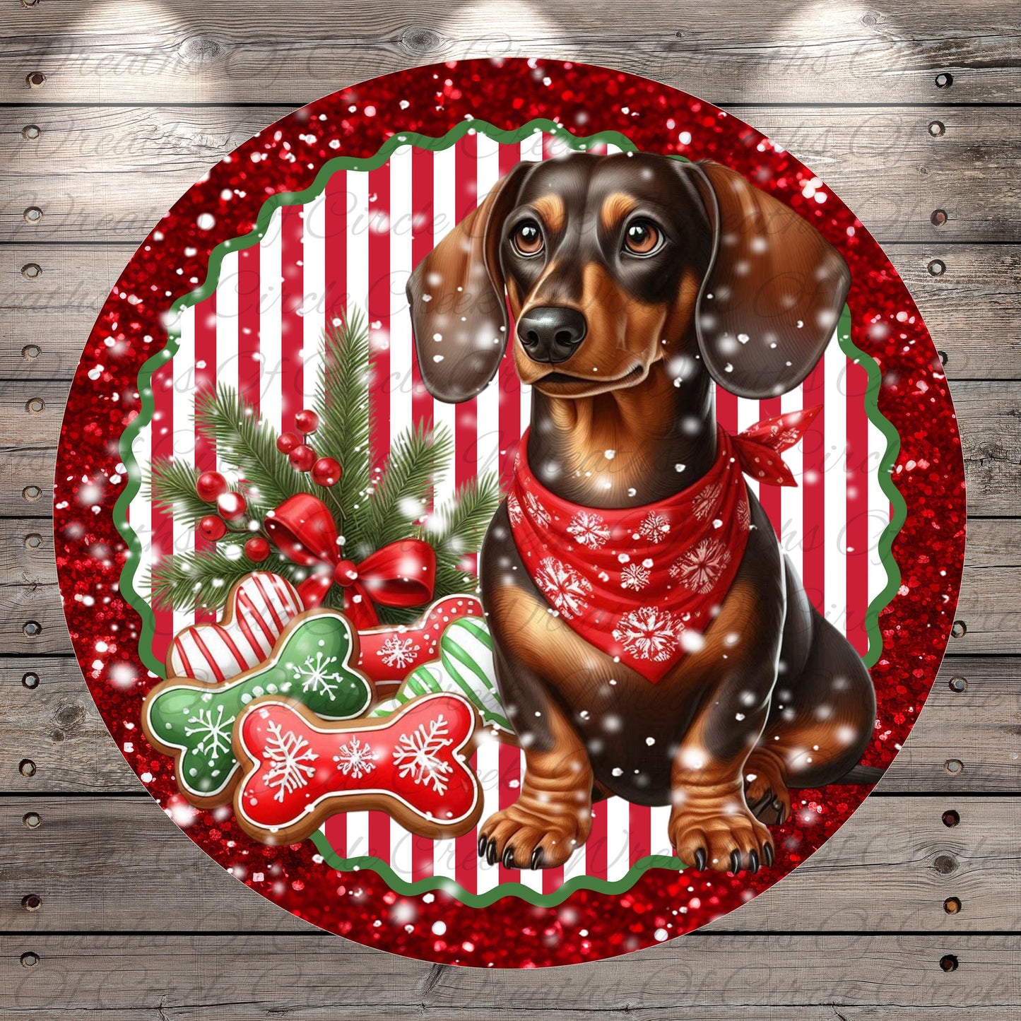 A dachshund dog wearing a red scarf and surrounded by Christmas decorations, including gingerbread cookies, pine branches, and snowflakes, all set against a red and white striped background.