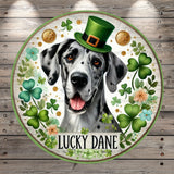Lucky Dane, Great Dane, Merle, St. Patrick's Day, Whimsical, Clovers, Florals, Gold, Green, Lightweight, Round, Metal Wreath Sign, No Holes