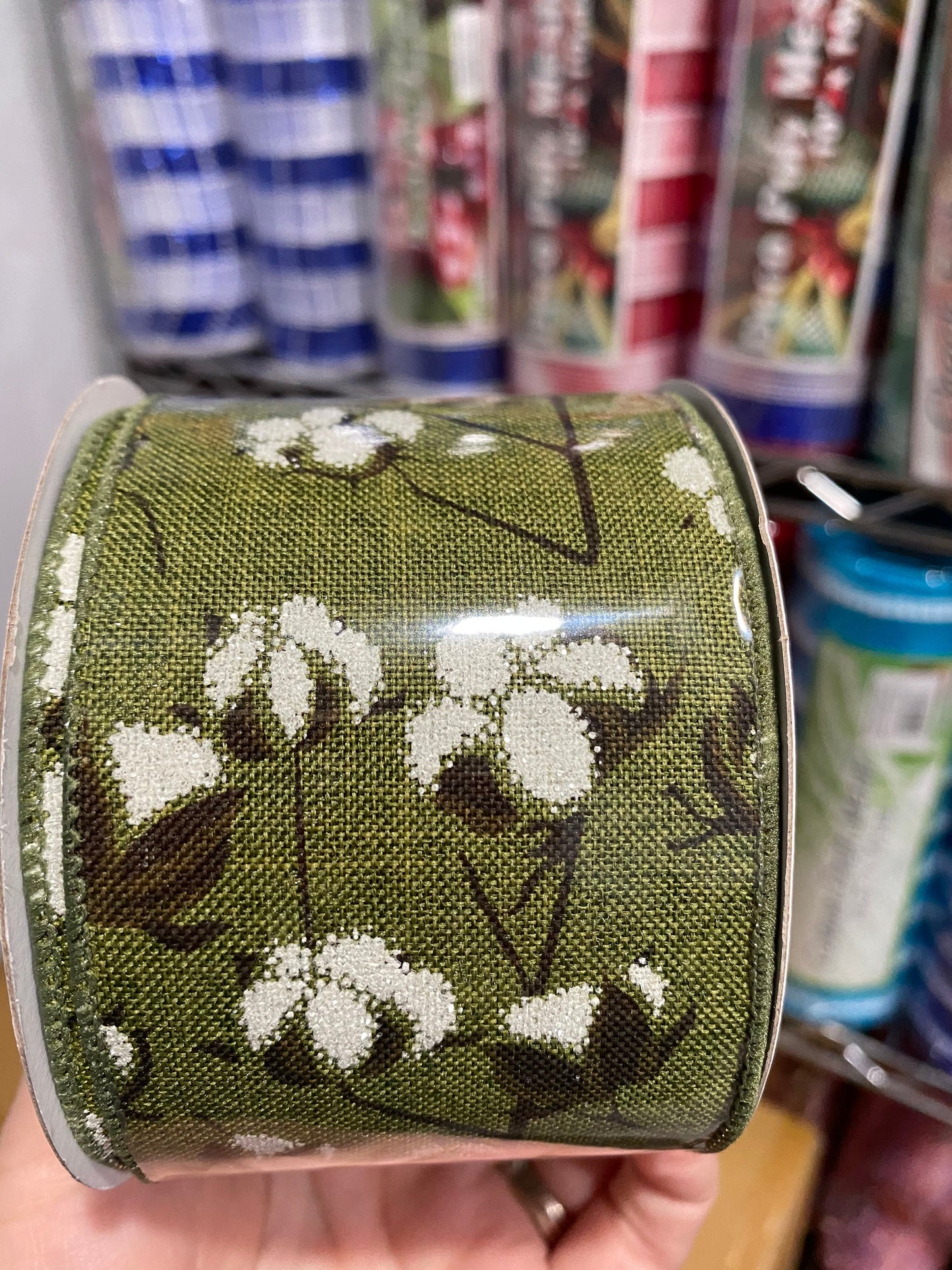 Wired Ribbon, Moss Green, Brown and White / 2.5" X 10 yd / Cotton Pods On Royal / RG0180952